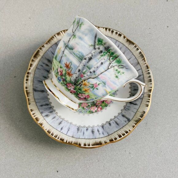 1930s Vintage Royal Albert Mid-Century Silver Birch Teacup and Saucer Set - Picture 1 of 7